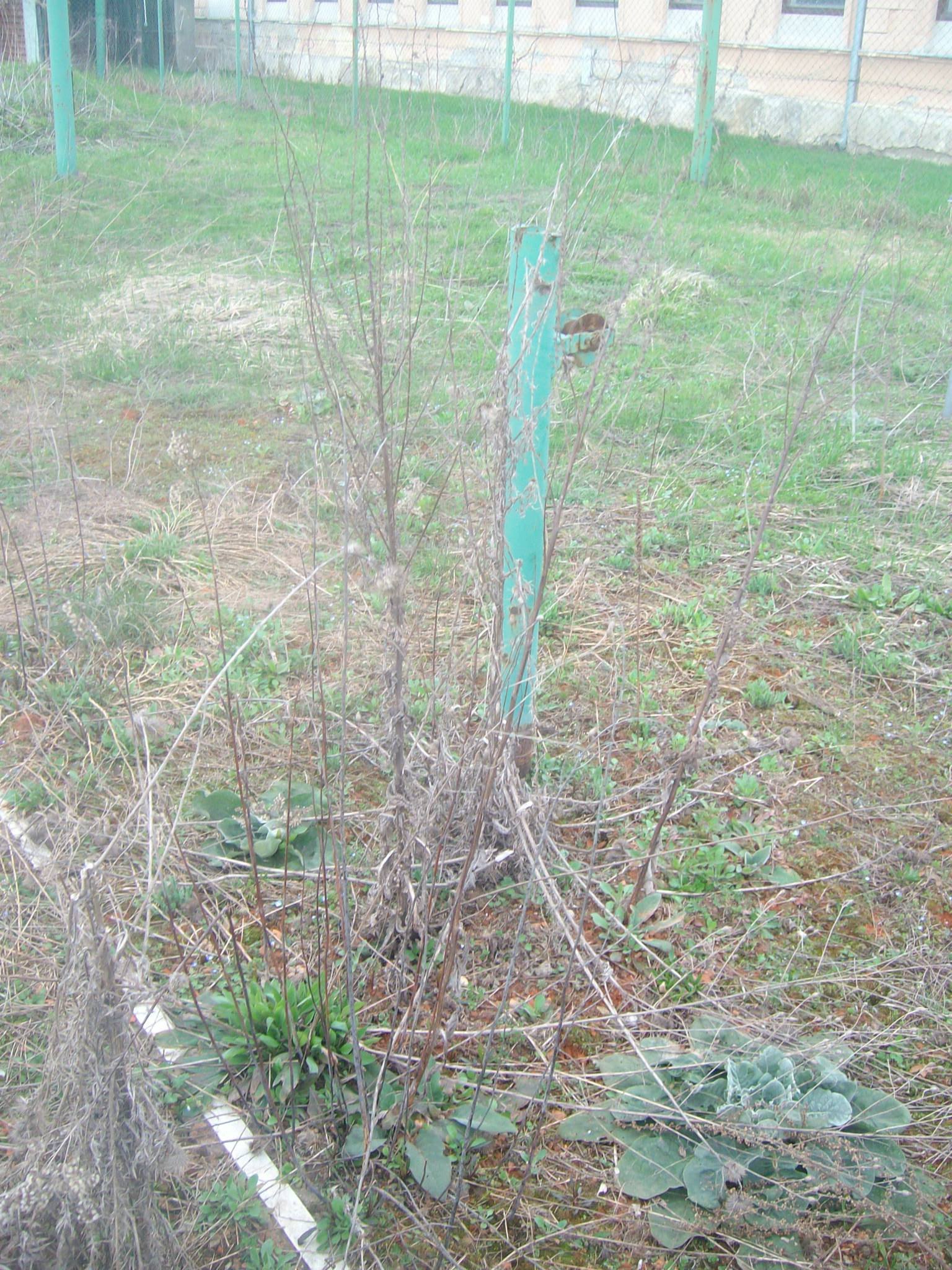 464387872_8831307040224247_8462258790986965545_n