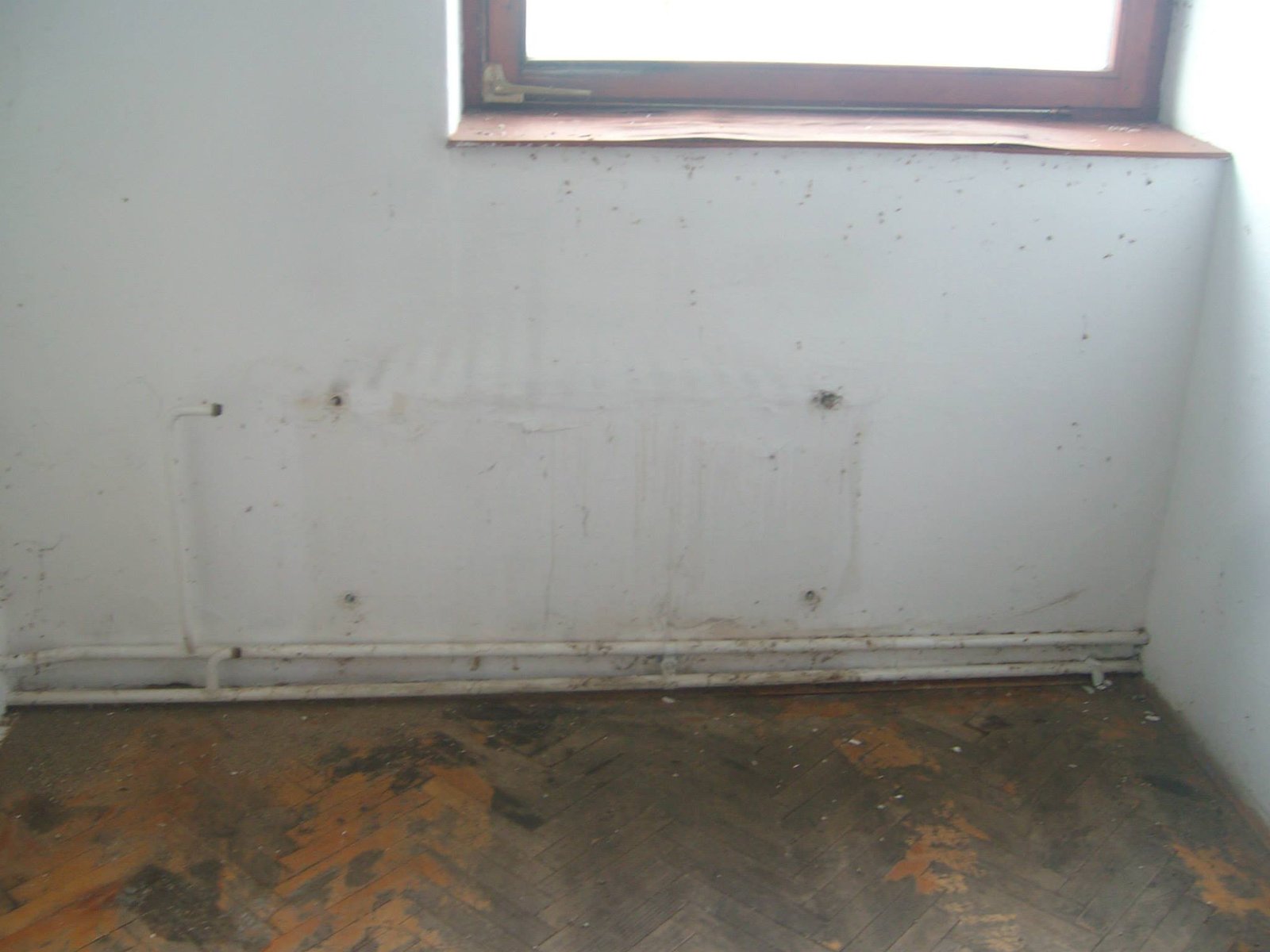 464416640_8831305340224417_6742821843596511940_n