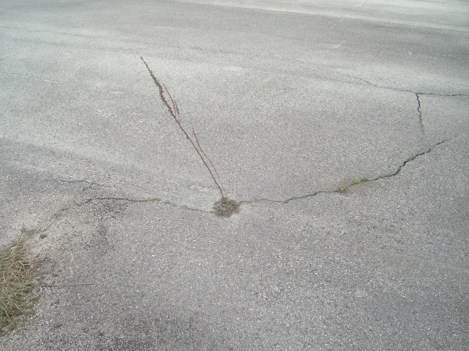 464417441_8831306760224275_7173111650661779919_n