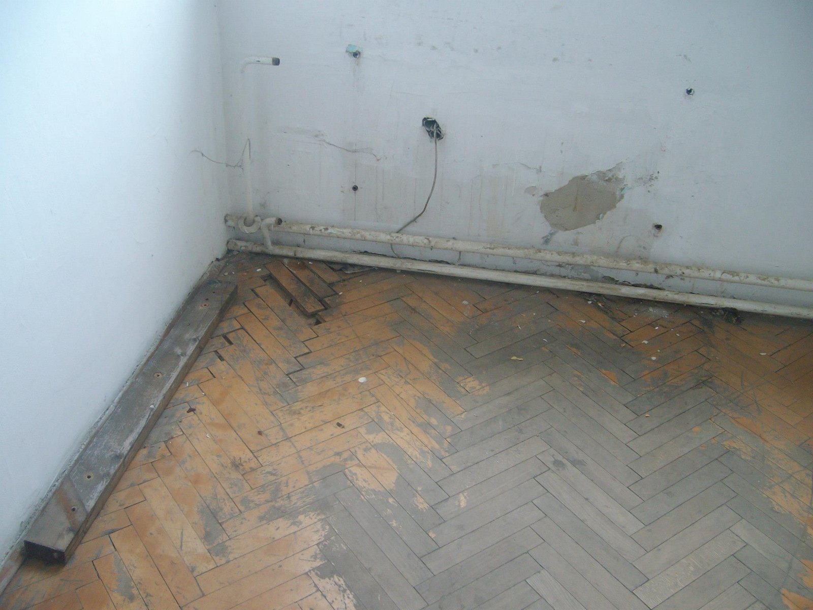 464417514_8831305350224416_4045165905448179664_n