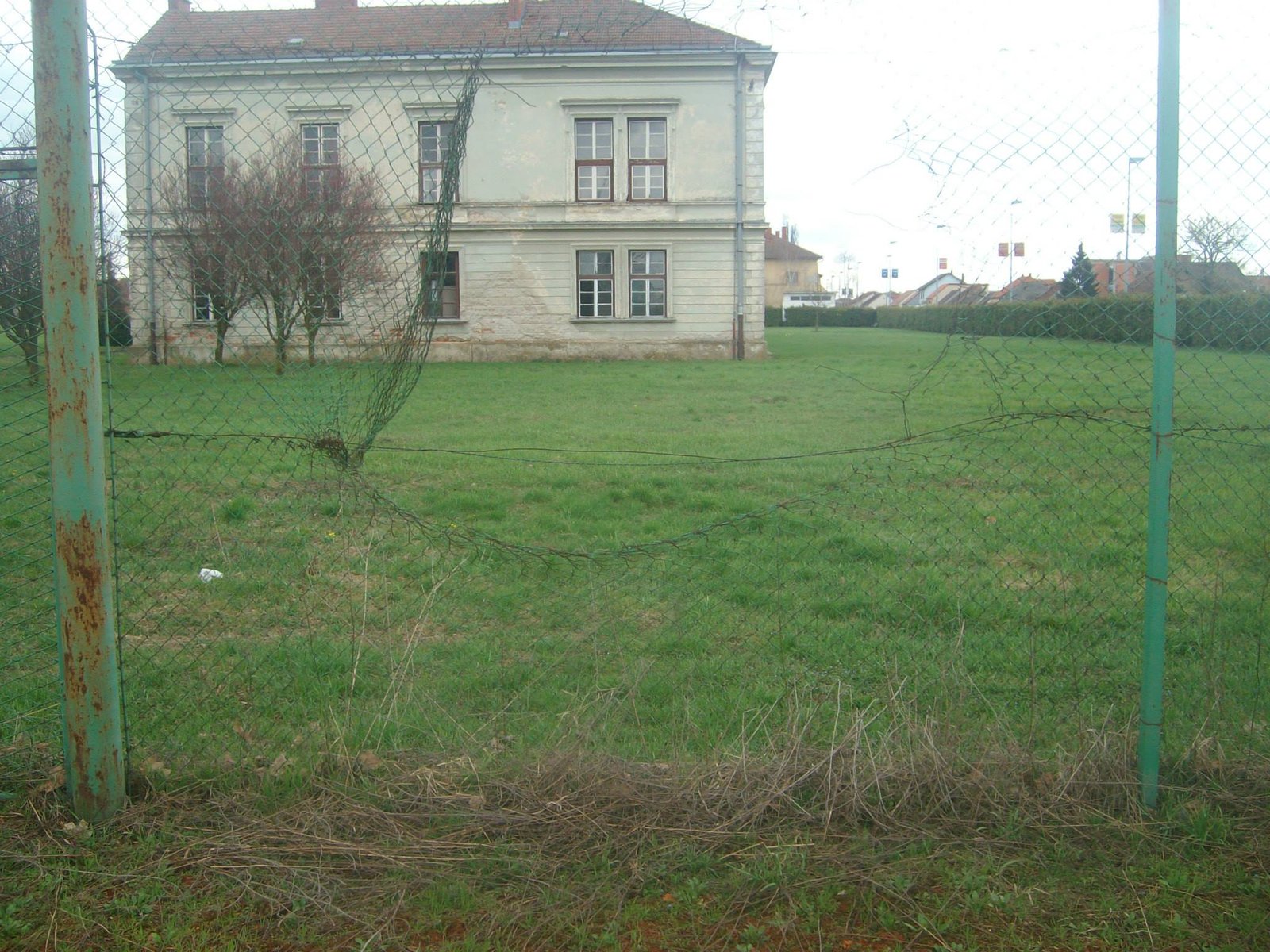 464464467_8831307030224248_7604983082064703613_n