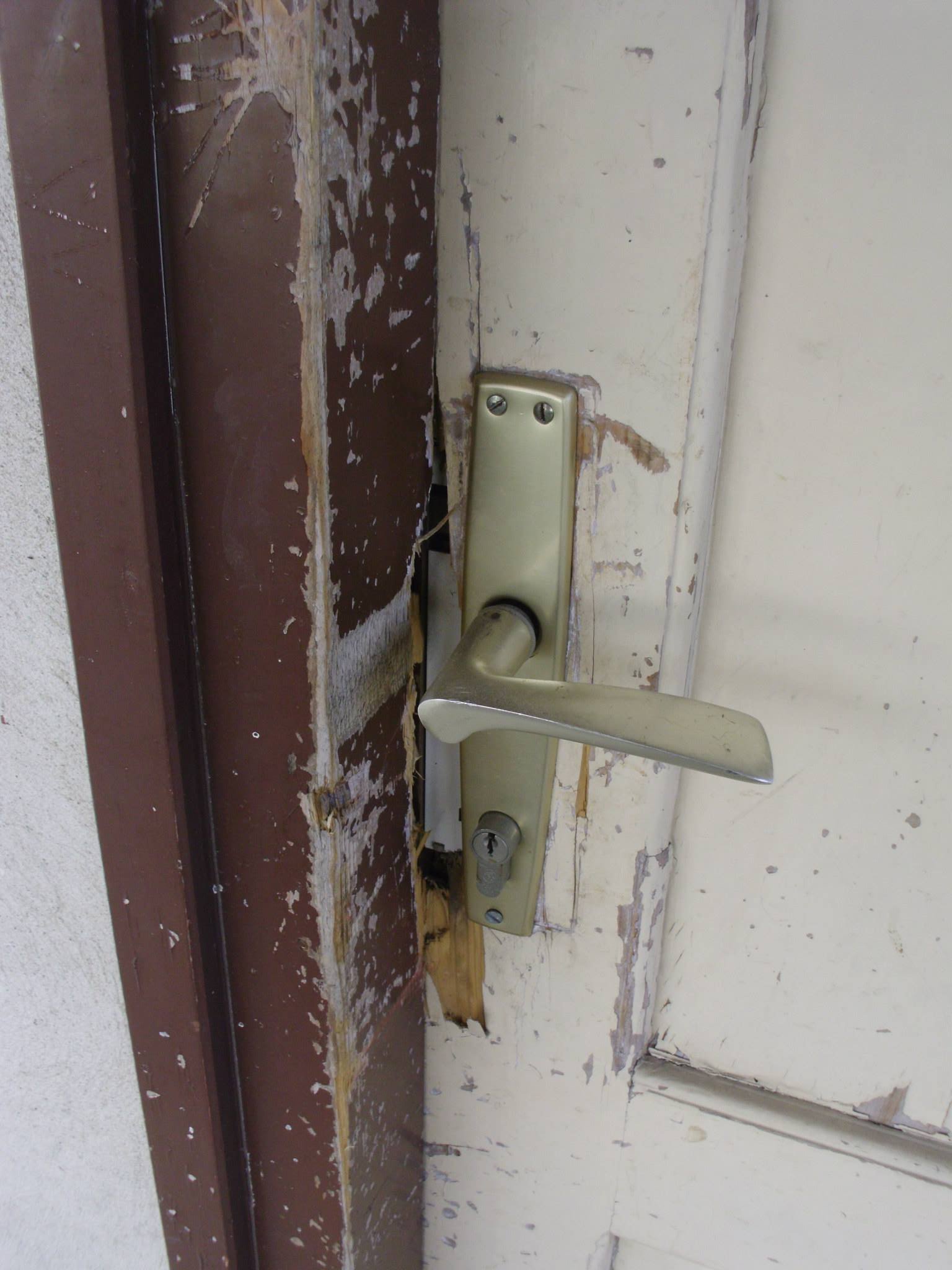 464488382_8831308223557462_4986655978281299335_n