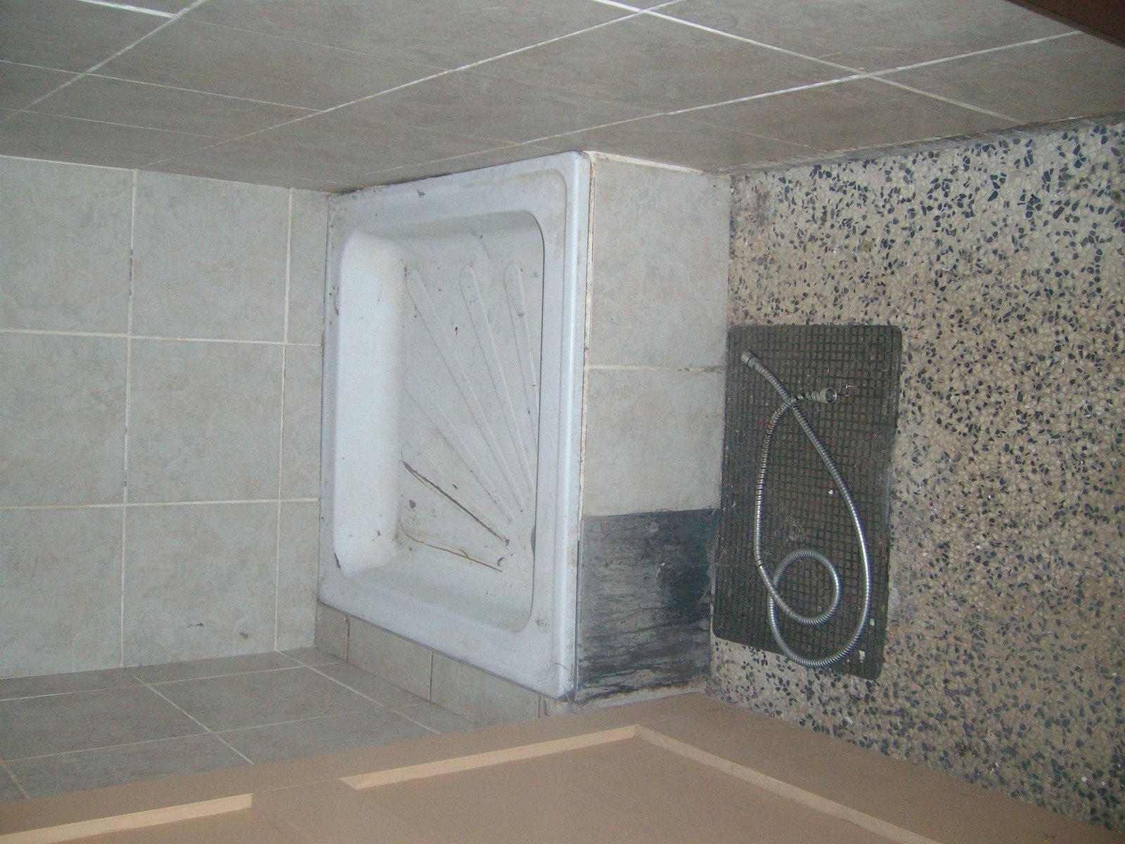 464496819_8831305830224368_2001470346140553252_n