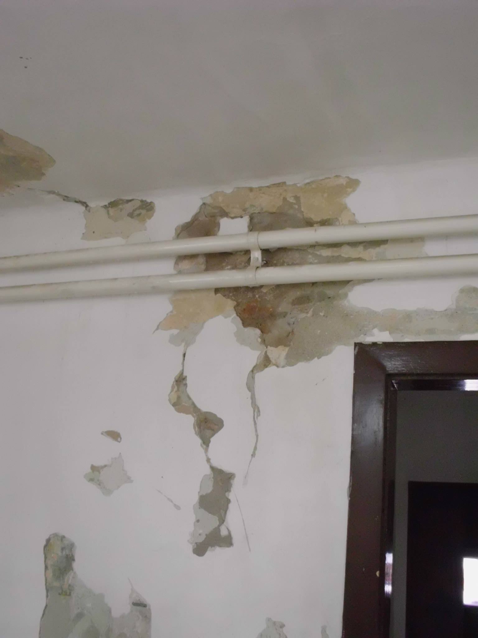 464496882_8831307576890860_4355552938600941464_n