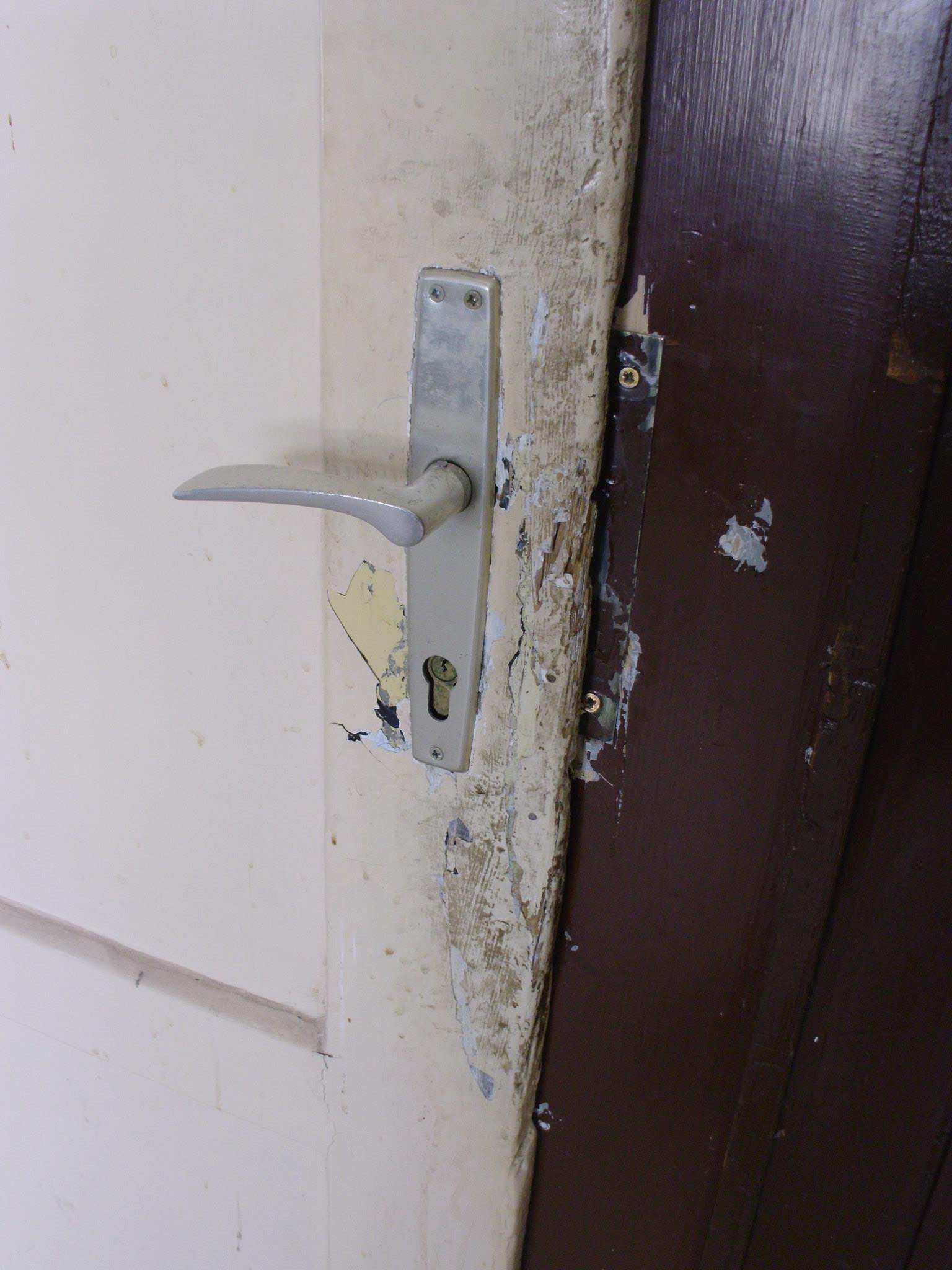 464497436_8831307943557490_2116529995121282434_n