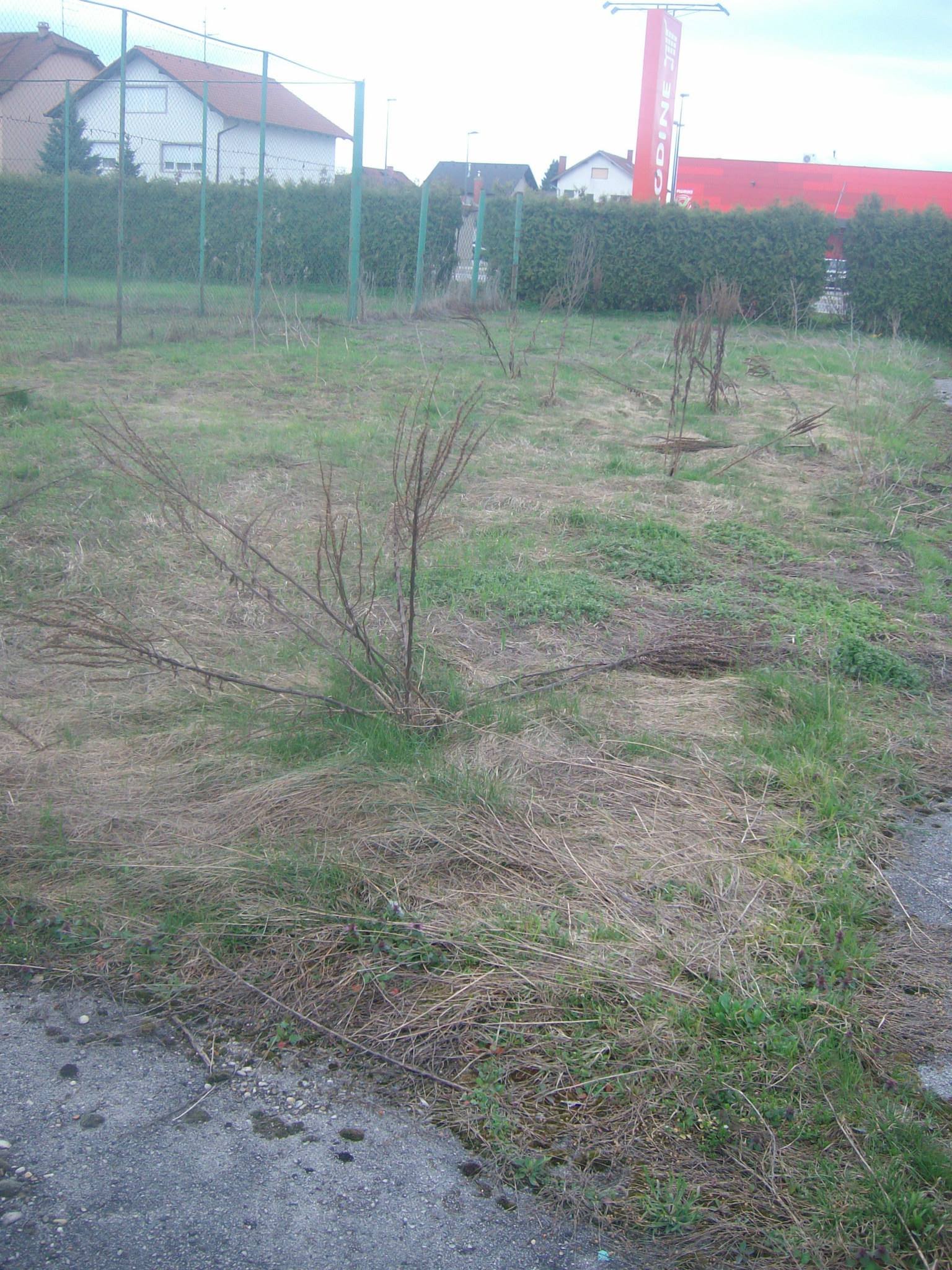 464498055_8831306766890941_3104507769714369642_n