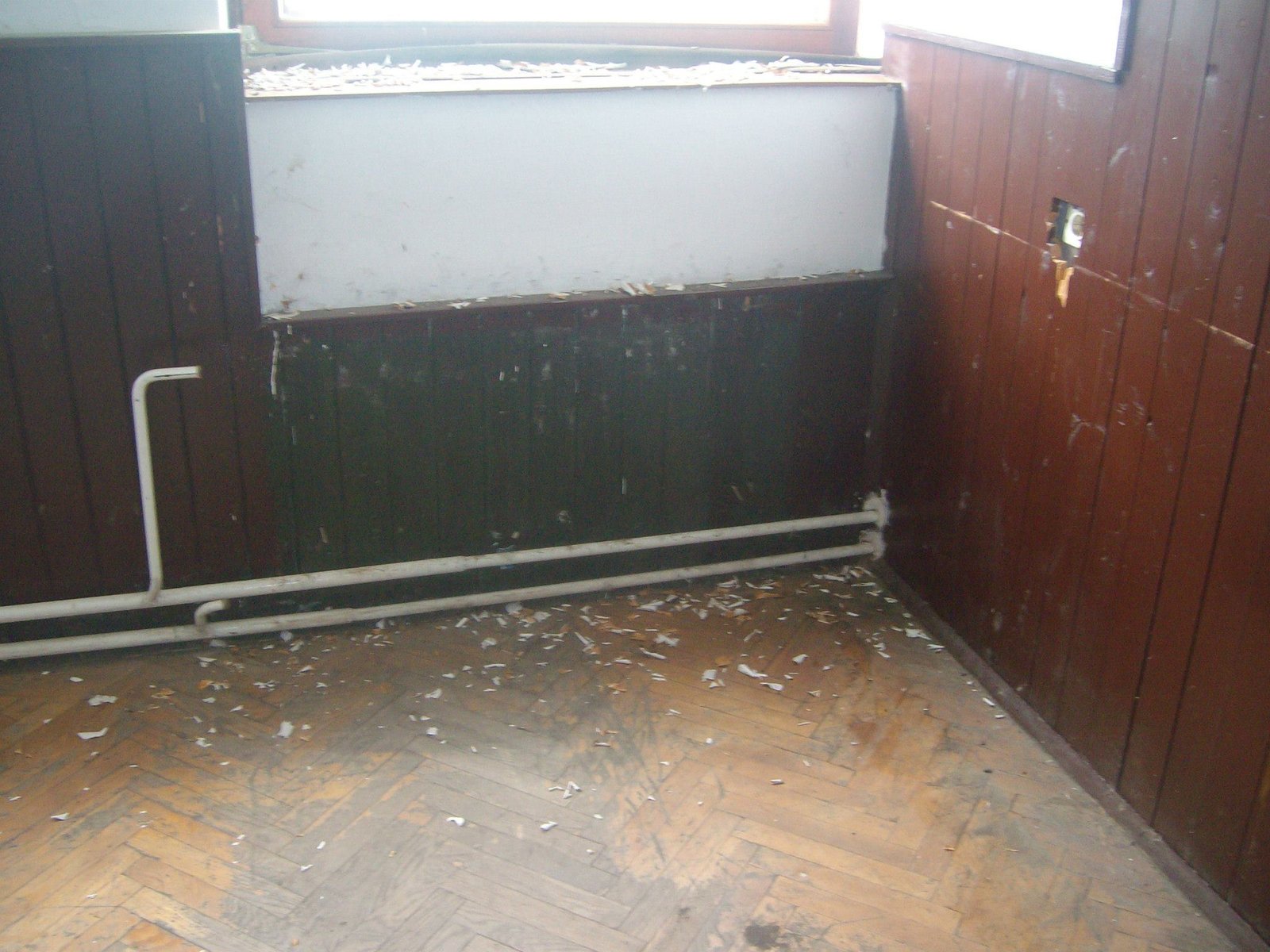 464508499_8831305346891083_8636732888718251389_n