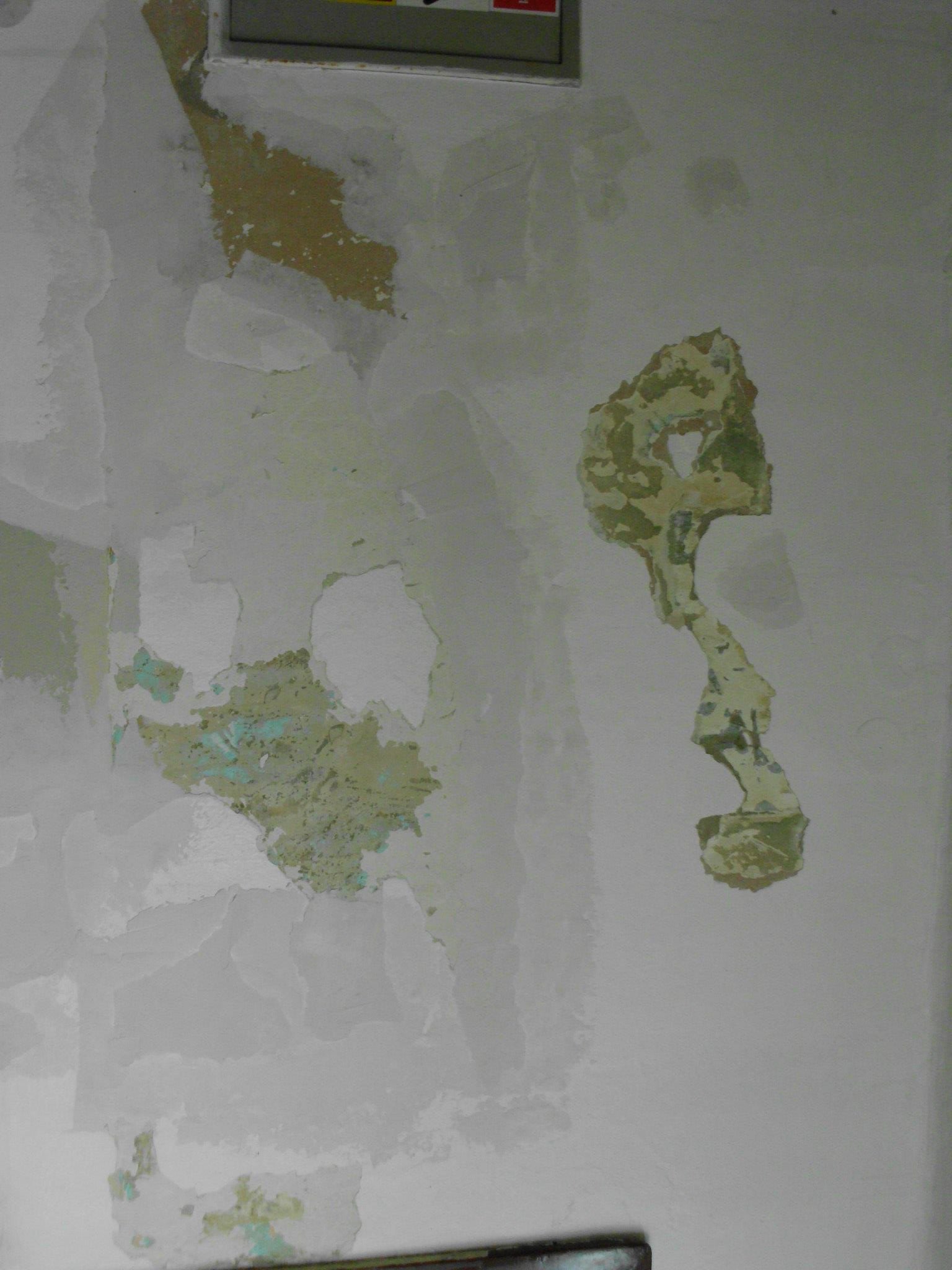 464553923_8831307570224194_6412569724664885825_n