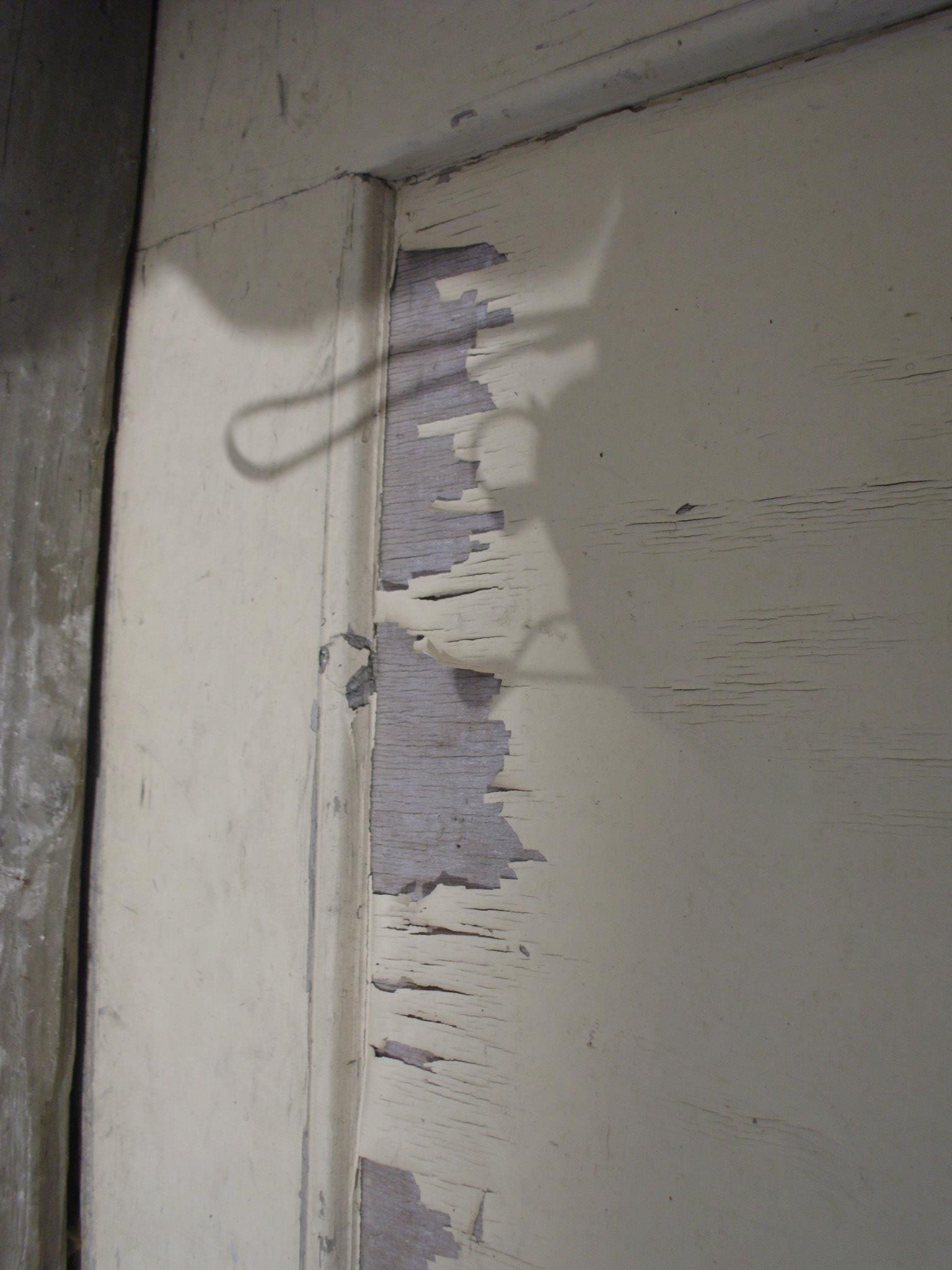 464568485_8831308220224129_66100053946764907_n