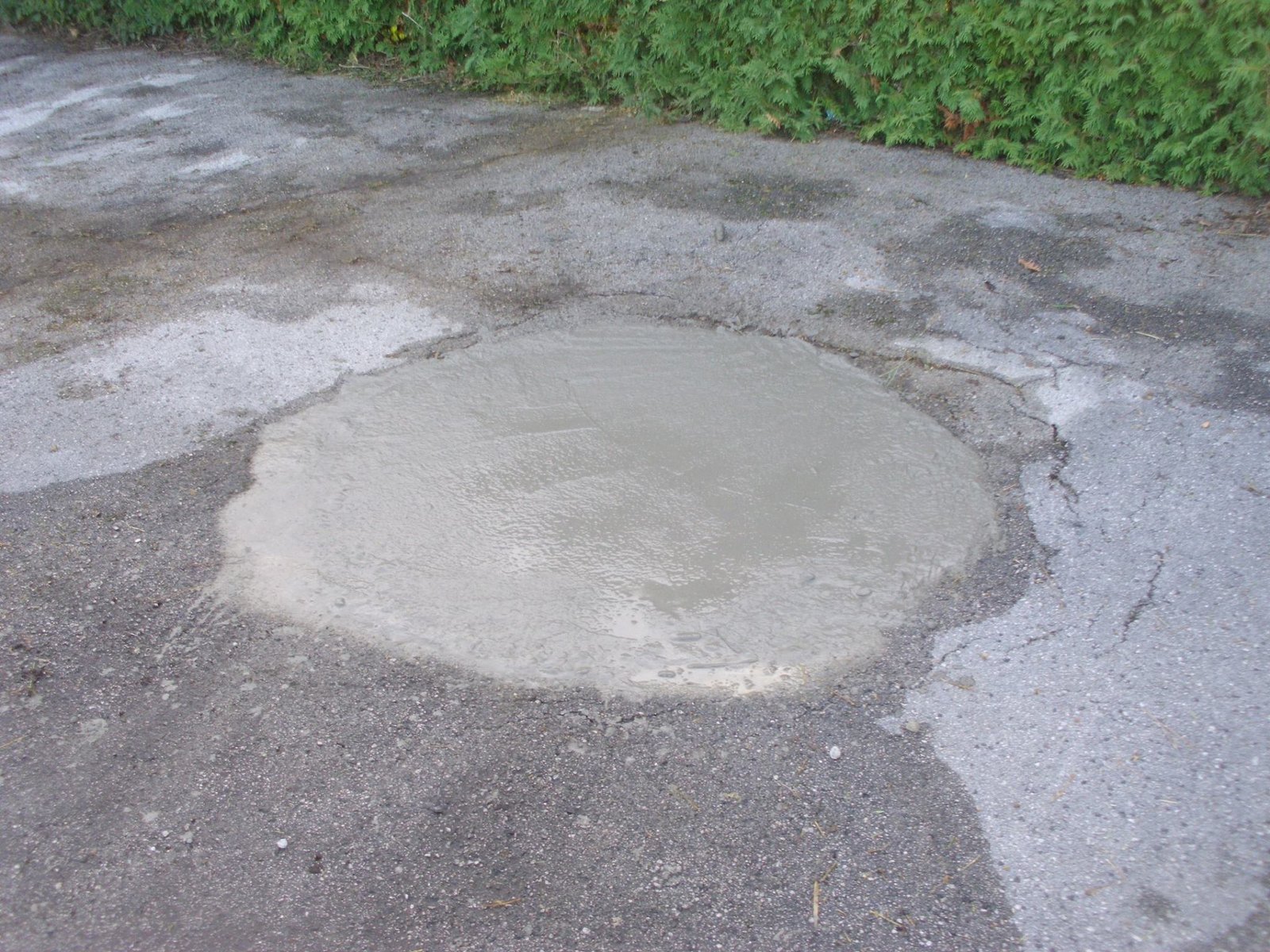 464696193_8859326810755603_2208708775879809252_n