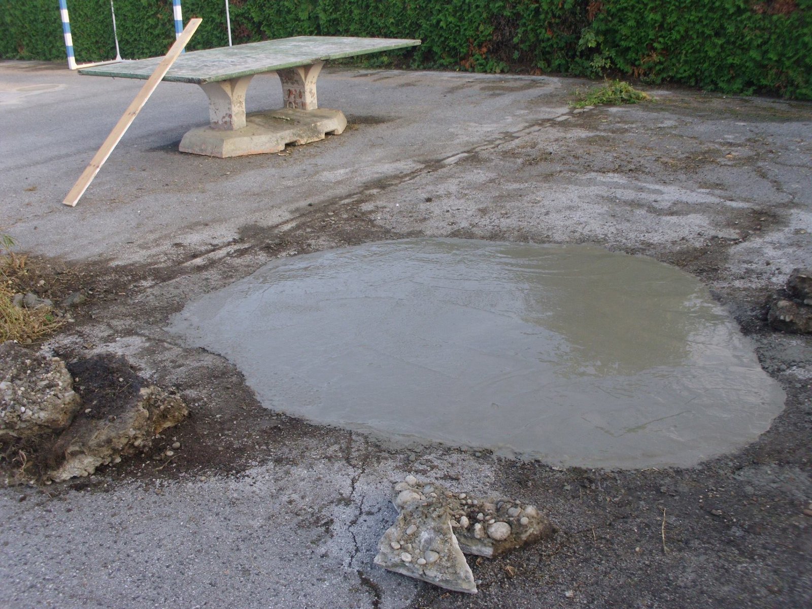 464797160_8859326790755605_6401843136704842914_n