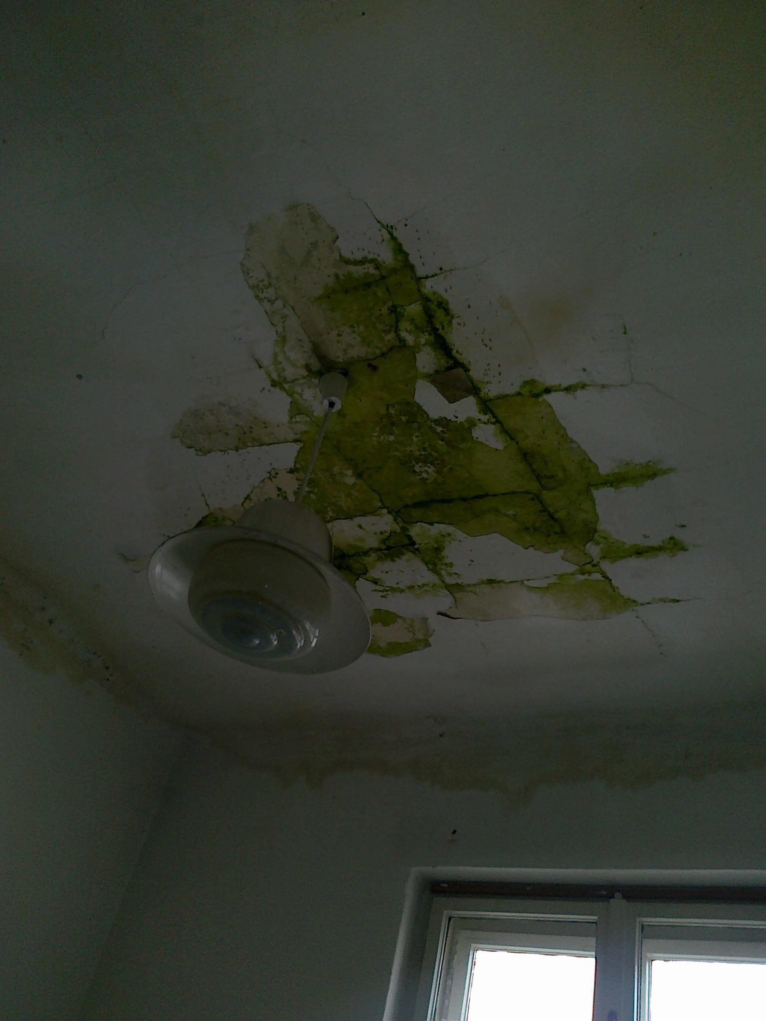 463238011_8784447254910226_8511630317187546136_n