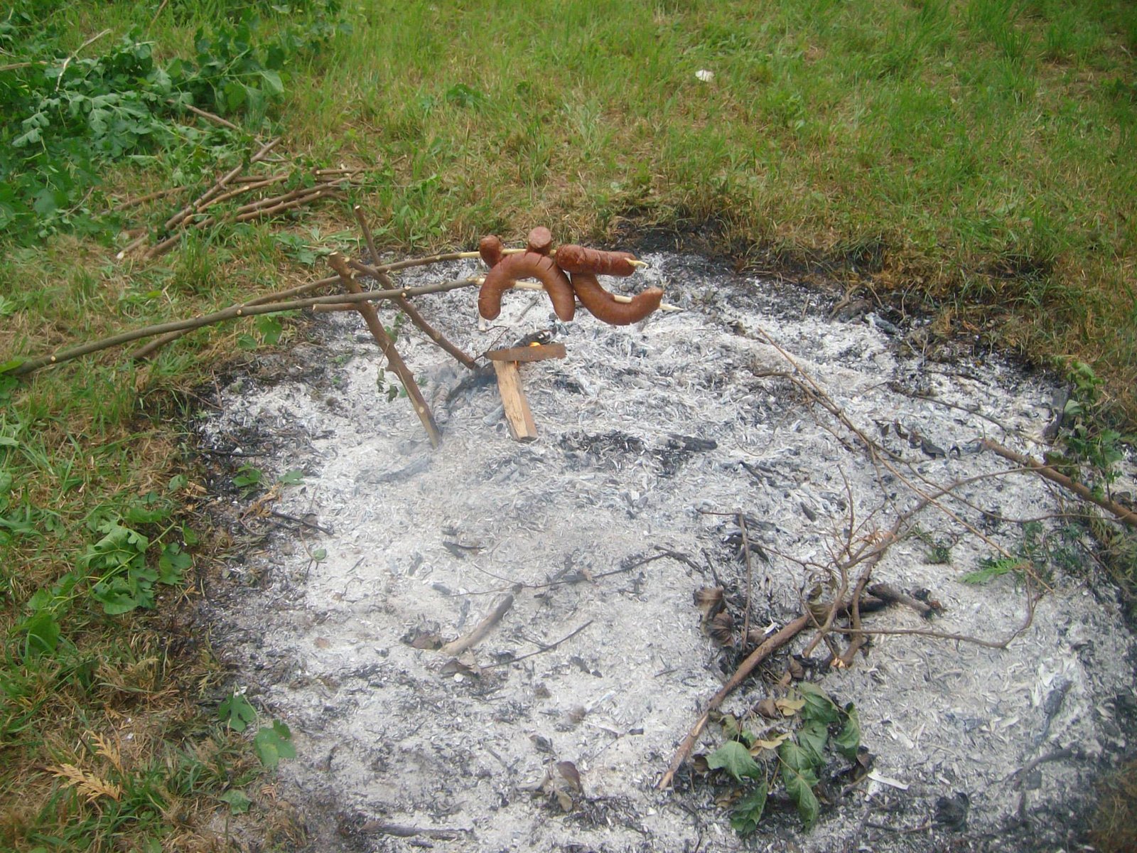 463364534_8784446484910303_2977205036443492606_n