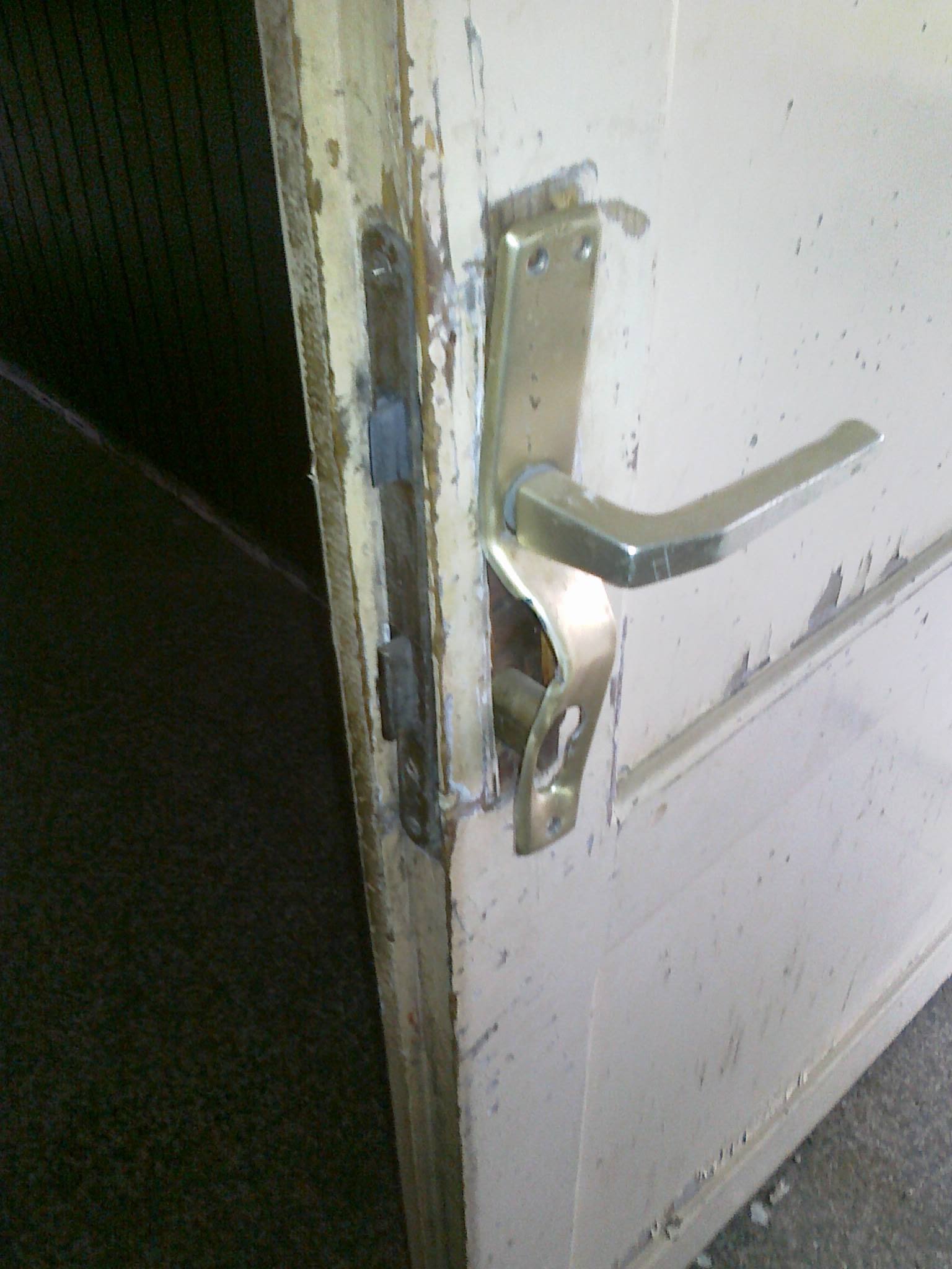 463401122_8784446831576935_2046652076344246959_n