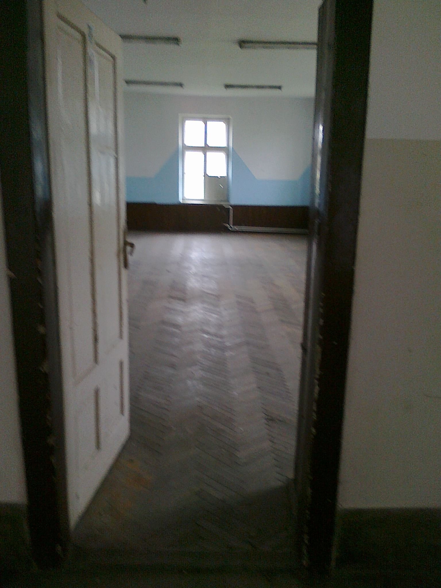 463407141_8784446841576934_8022787525459840256_n