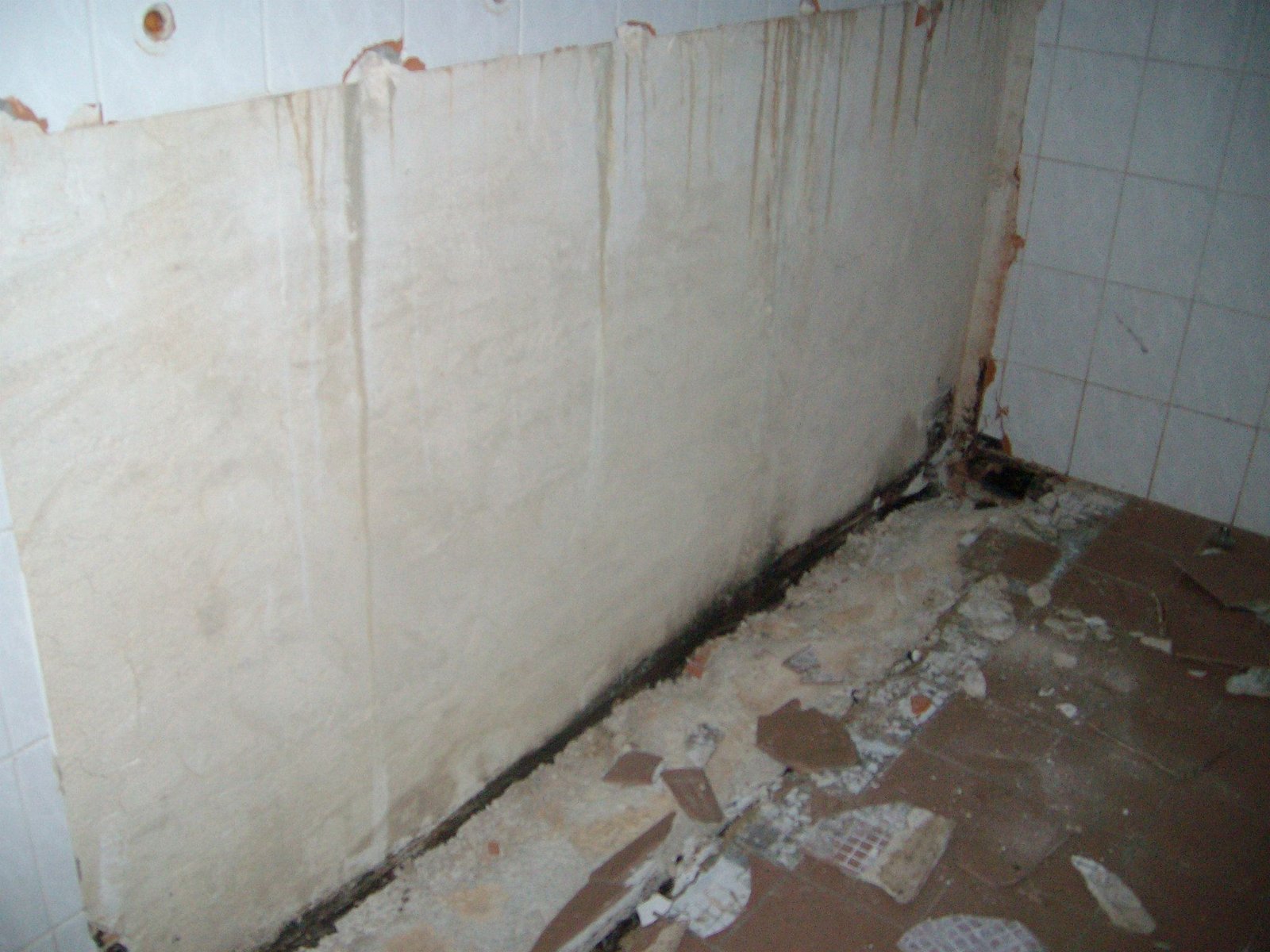 463605290_8799907606697524_632748944203206685_n