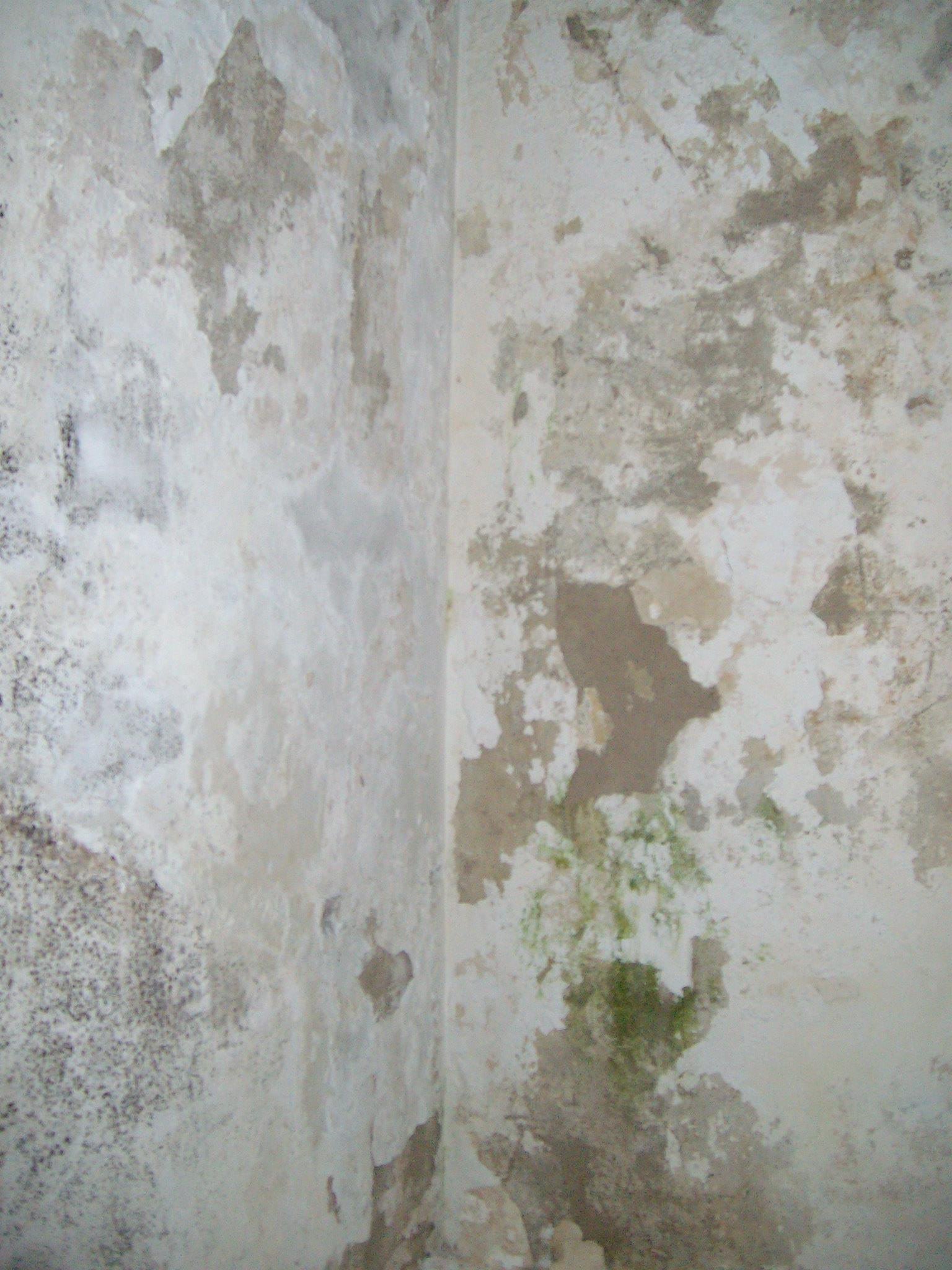 463606001_8799907623364189_3138699085038849328_n