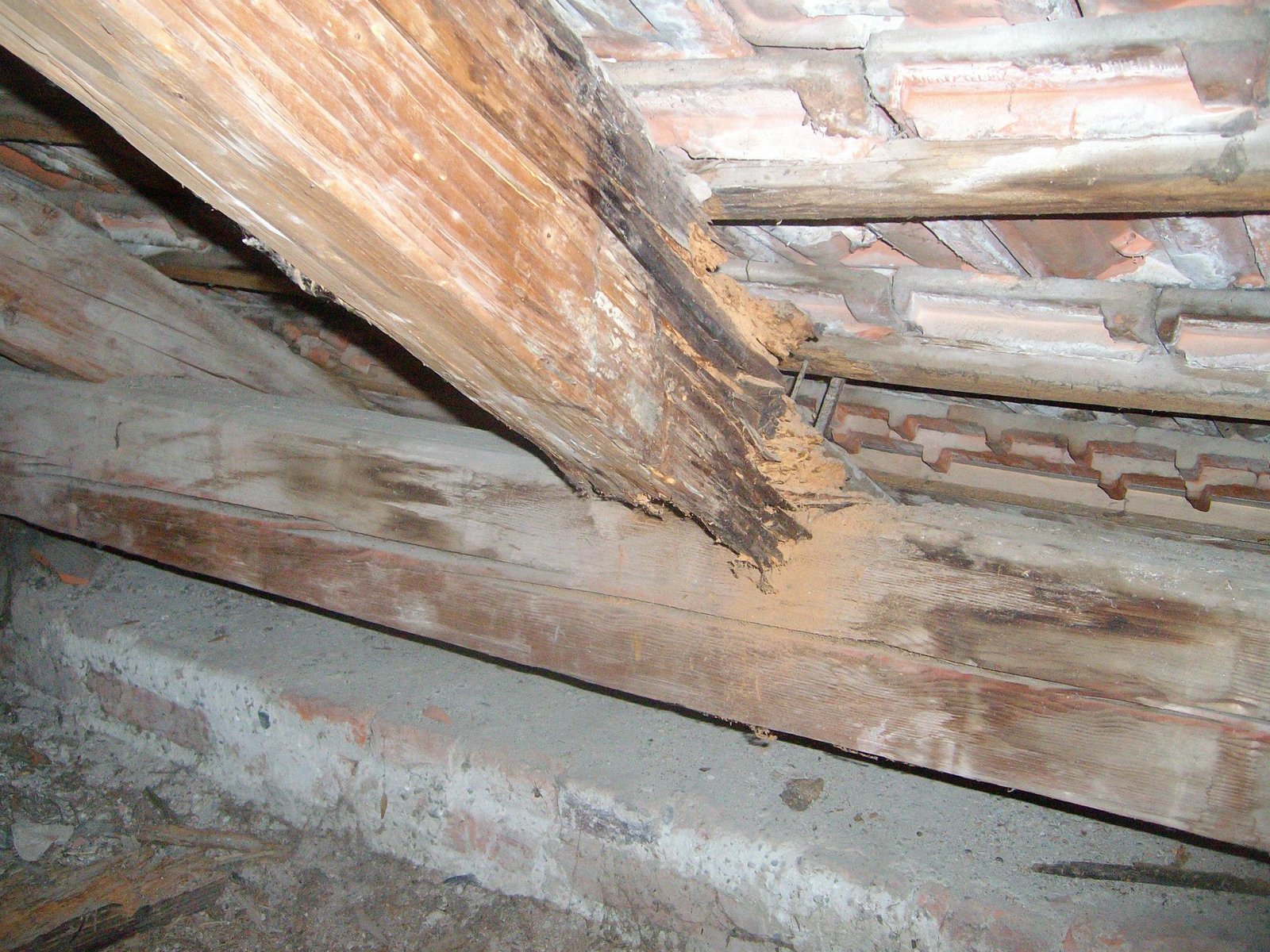 463870903_8800261889995429_8376890945141370130_n