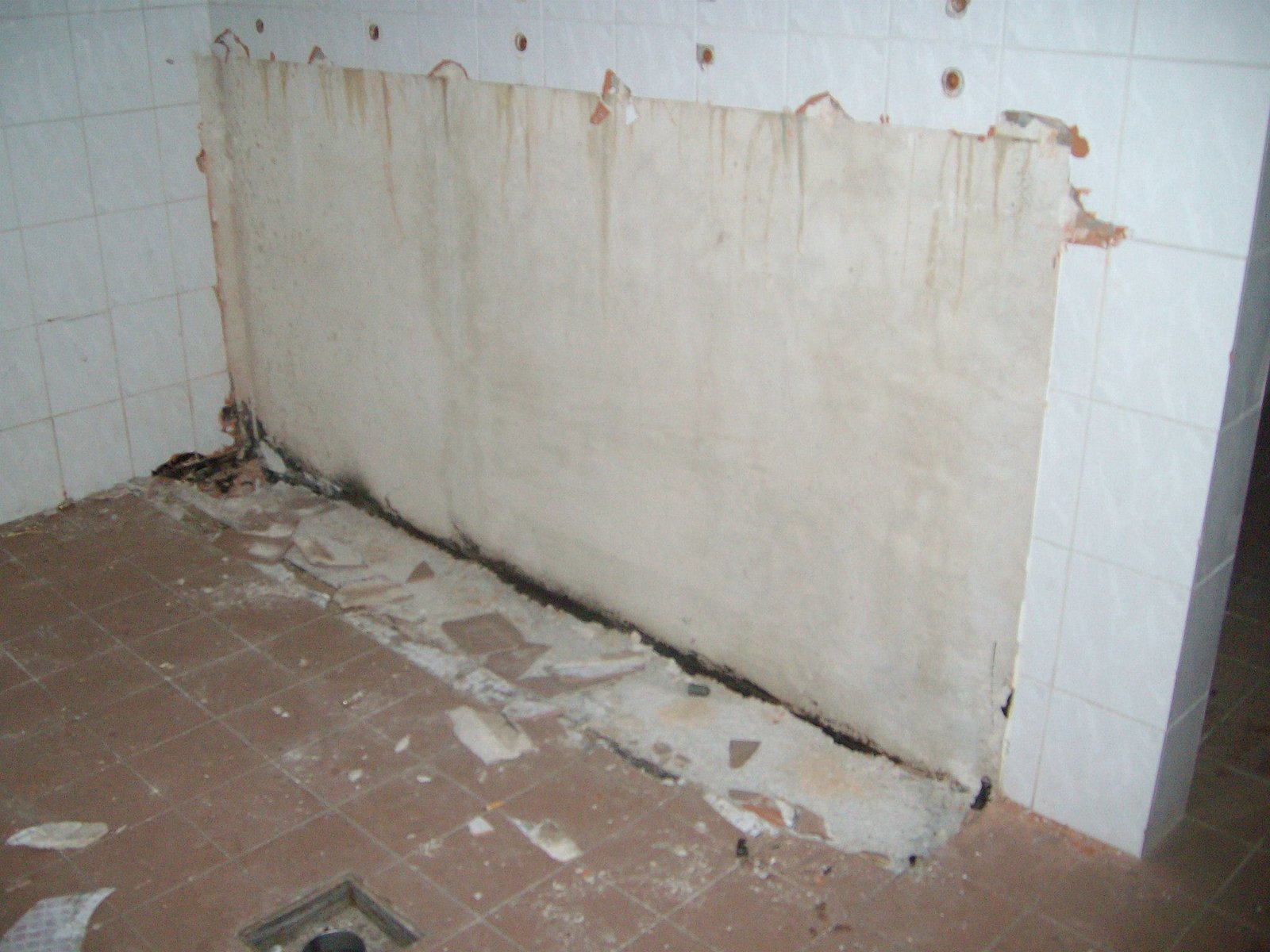 464022419_8799907316697553_2571005632354144810_n