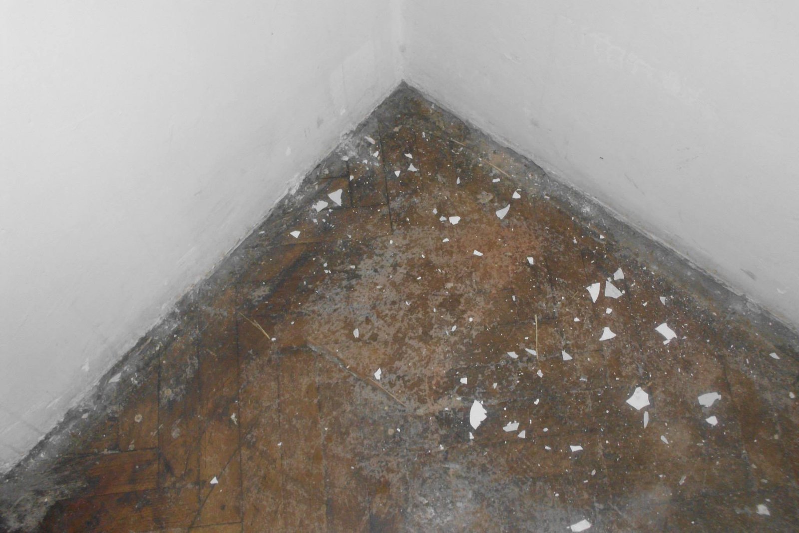 464180606_8832846856736932_7680974425469928095_n