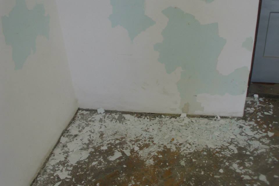 464220587_8832846386736979_820873331764134189_n