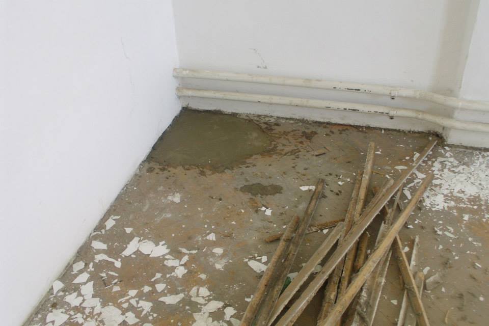 464221120_8832846373403647_1053292322914471471_n