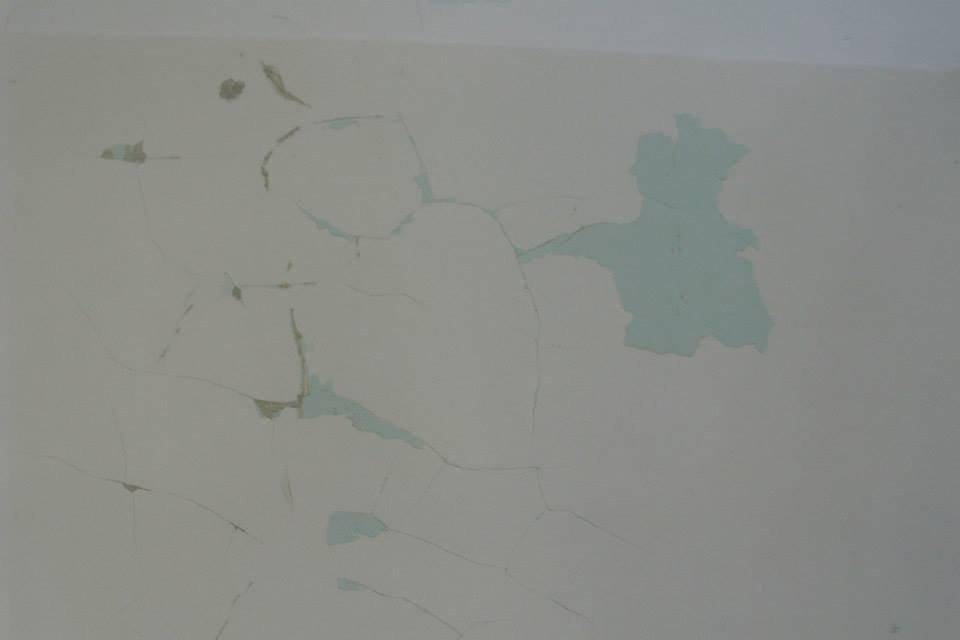 464221782_8832846356736982_3788803300249930030_n