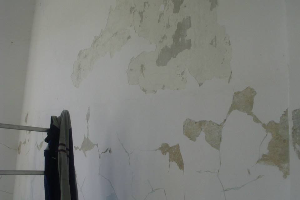 464222445_8832846370070314_6396282854808147494_n