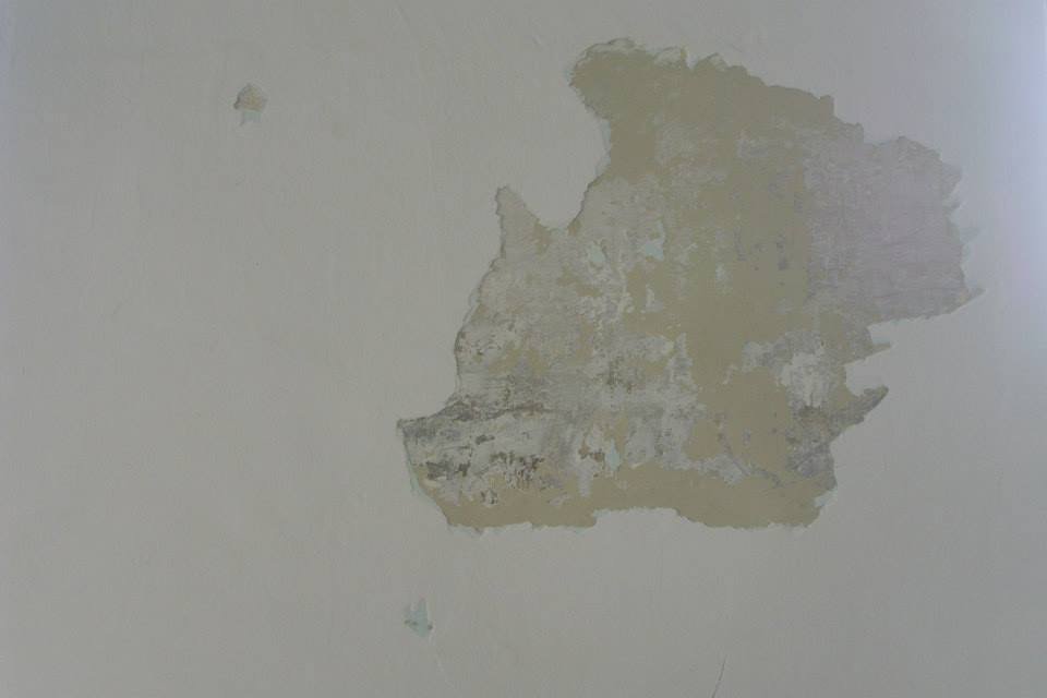 464245135_8832846366736981_1493339886797564496_n