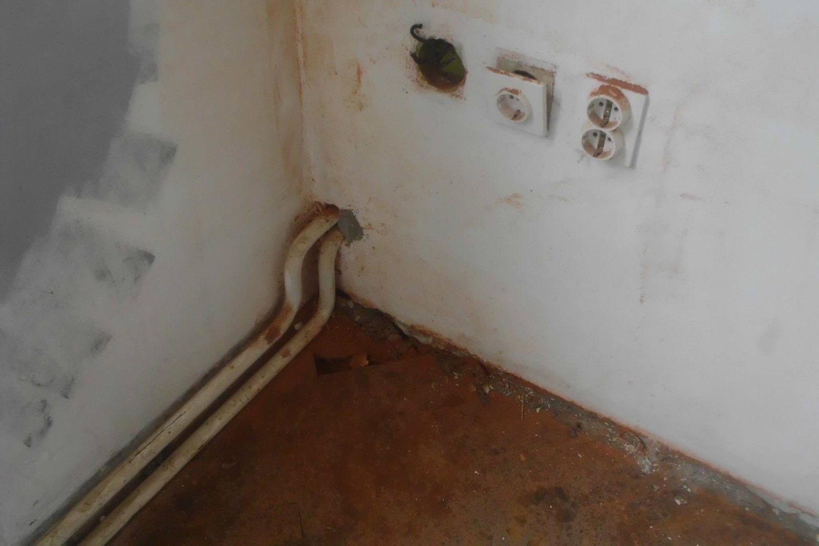 464273205_8832846850070266_7494549329965458270_n