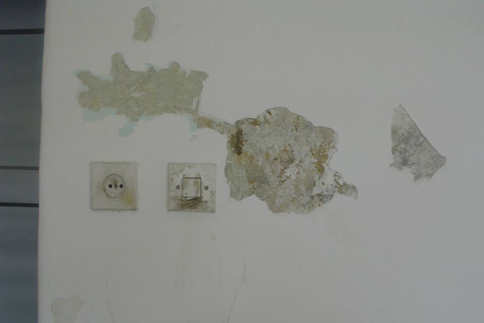 464273504_8832846363403648_8642677189193725406_n