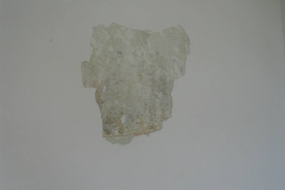 464292889_8832846163403668_6622452636253879473_n