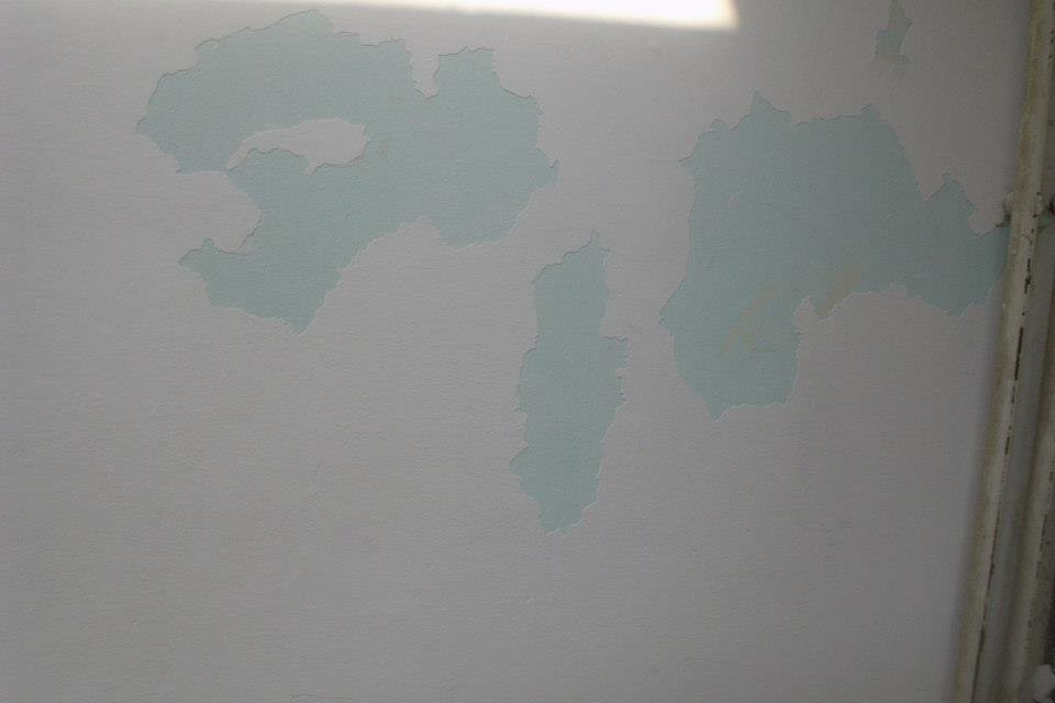 464371801_8832846590070292_2036352911396758729_n