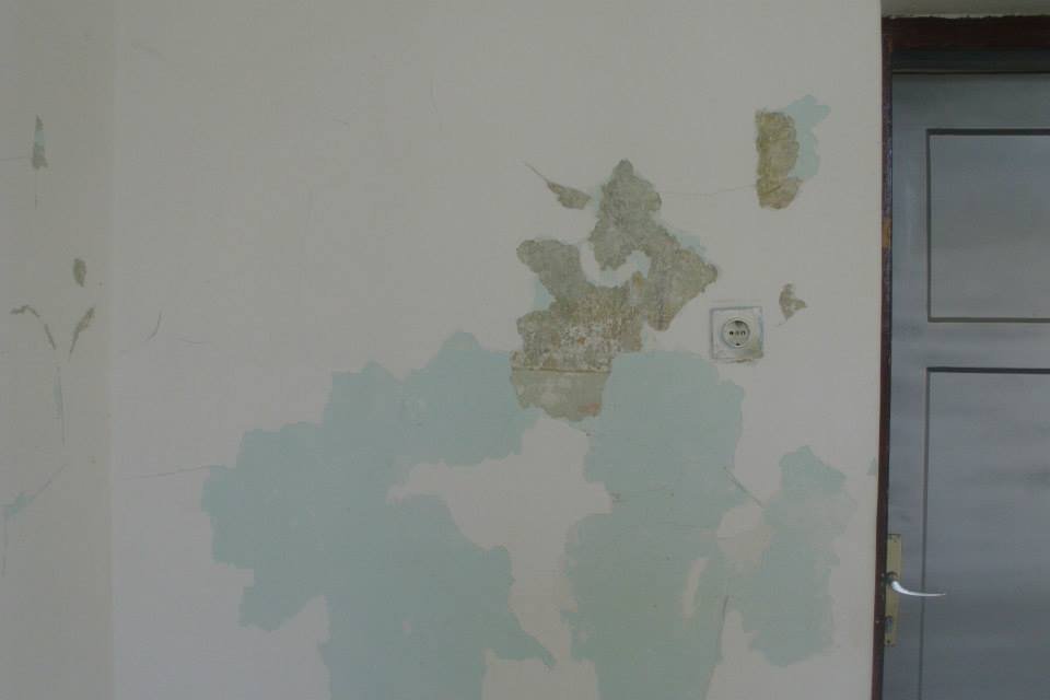 464413924_8832846390070312_1138942861021138263_n (1)