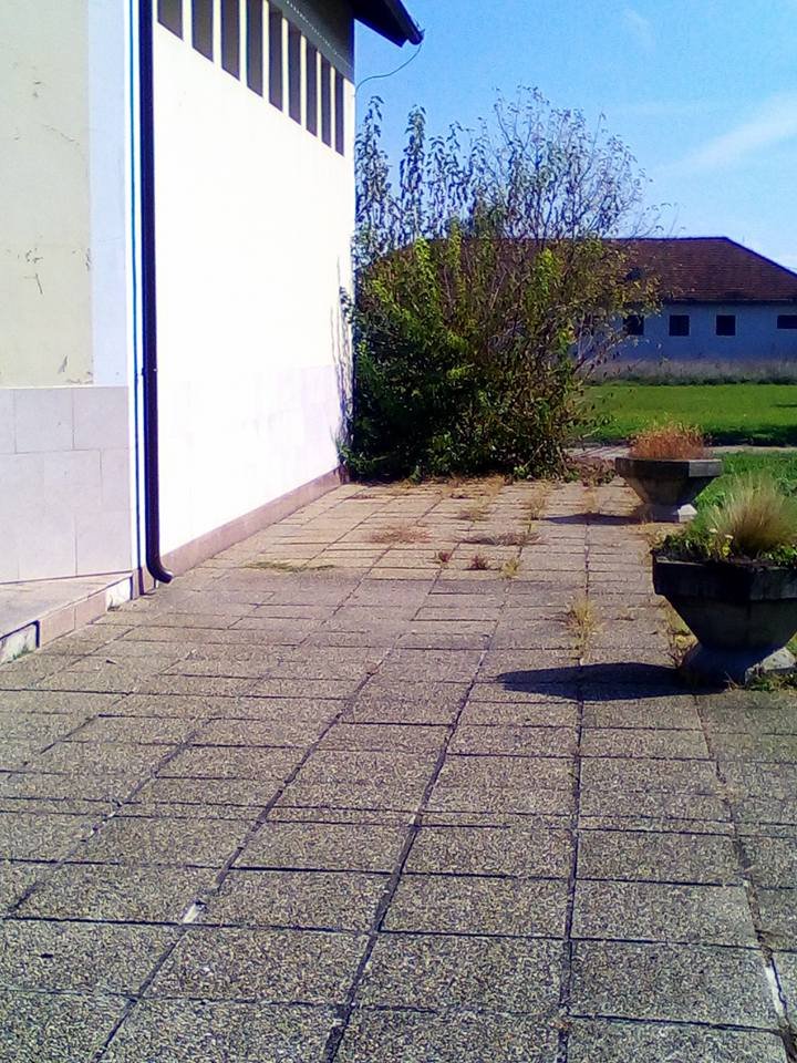 465444564_8892472767441007_3714263227234527257_n