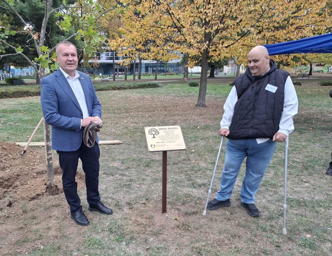 101026_drvo-zivota-transplantirani_1-6-1068x824
