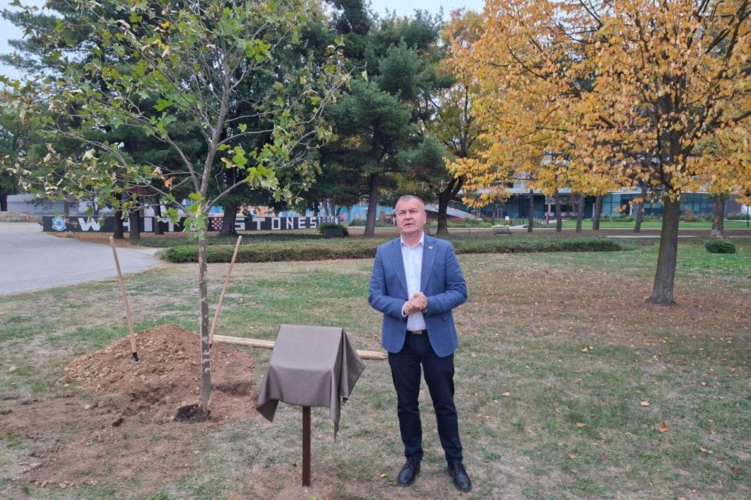 drvo_zivota_sadnja_varazdin-8