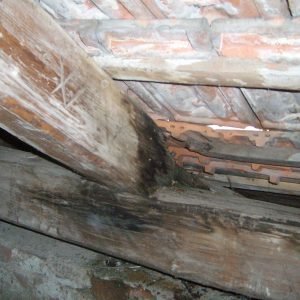 Stanje krovišta na stražari