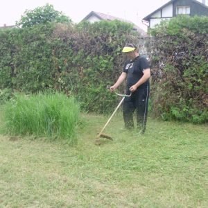 Četvrta košnja Centra