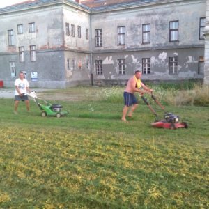 Još jedna košnja Centra