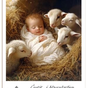 Čestiti i blagosovljen Božić